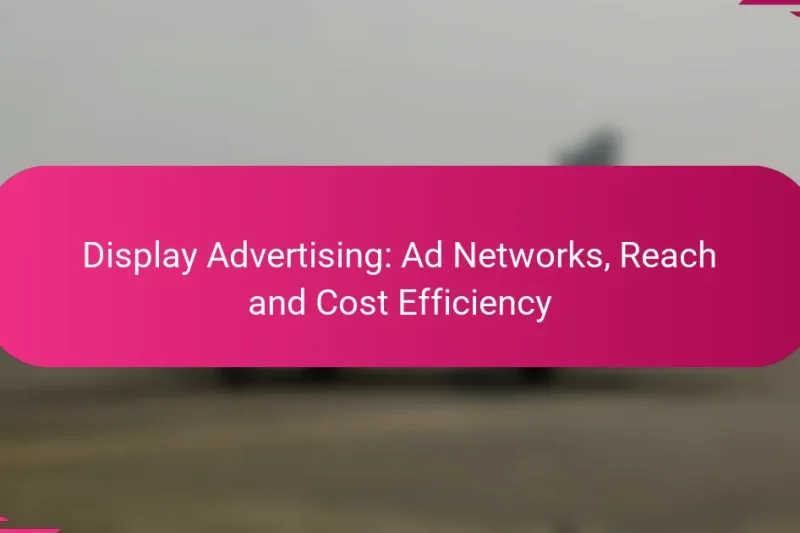 Display Advertising: Ad Networks, Reach and Cost Efficiency