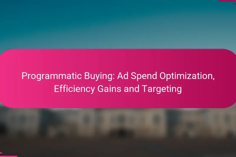 Programmatic Buying: Ad Spend Optimization, Efficiency Gains and Targeting