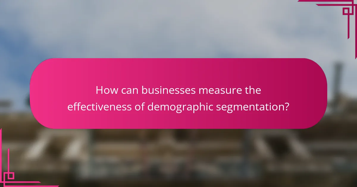 How can businesses measure the effectiveness of demographic segmentation?