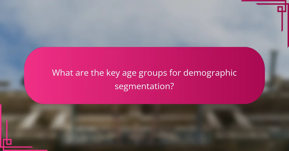 What are the key age groups for demographic segmentation?
