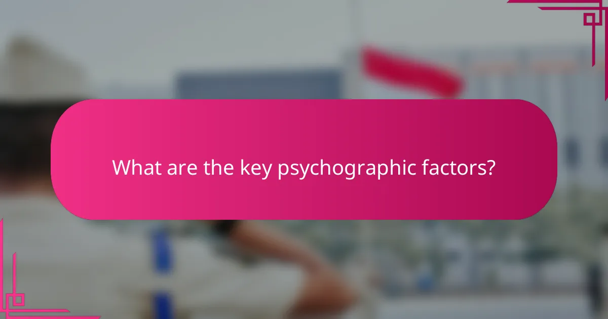 What are the key psychographic factors?