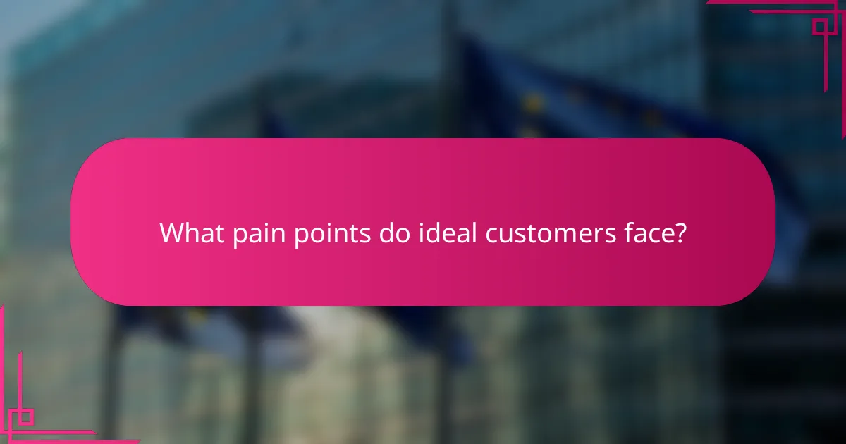 What pain points do ideal customers face?