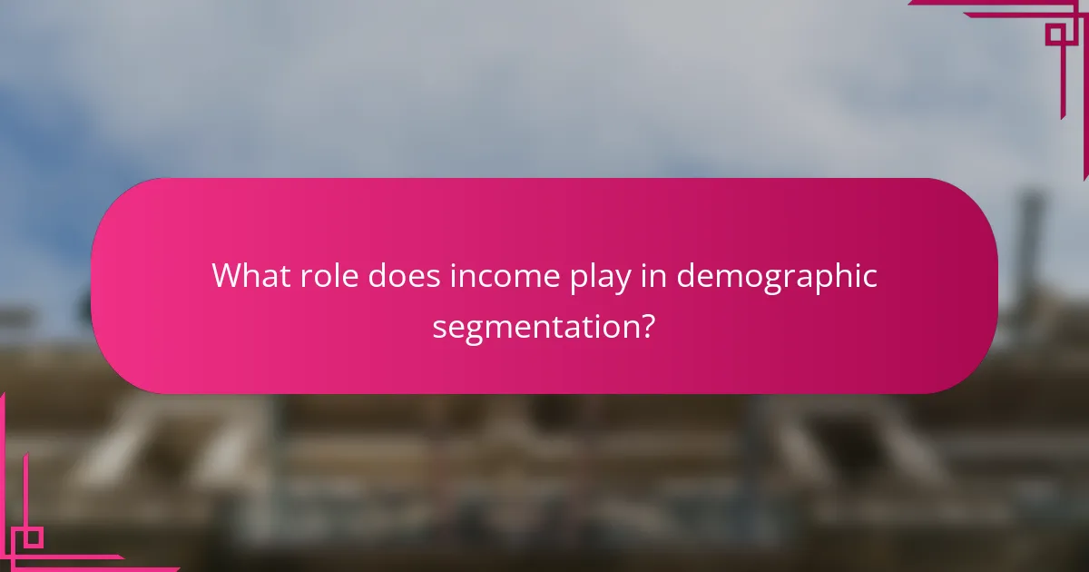What role does income play in demographic segmentation?